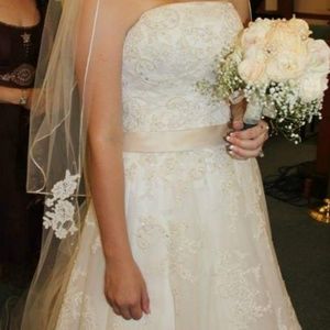 Wedding Dress and Veil